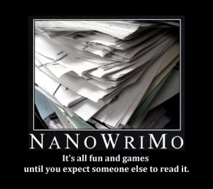 nanowrimo_poster