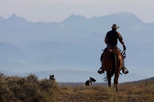 wyoming-cottonwood-ranches-mark-gocke-390x260